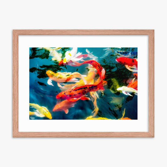 Koi fish in pond 18x24 in Poster With Oak Frame