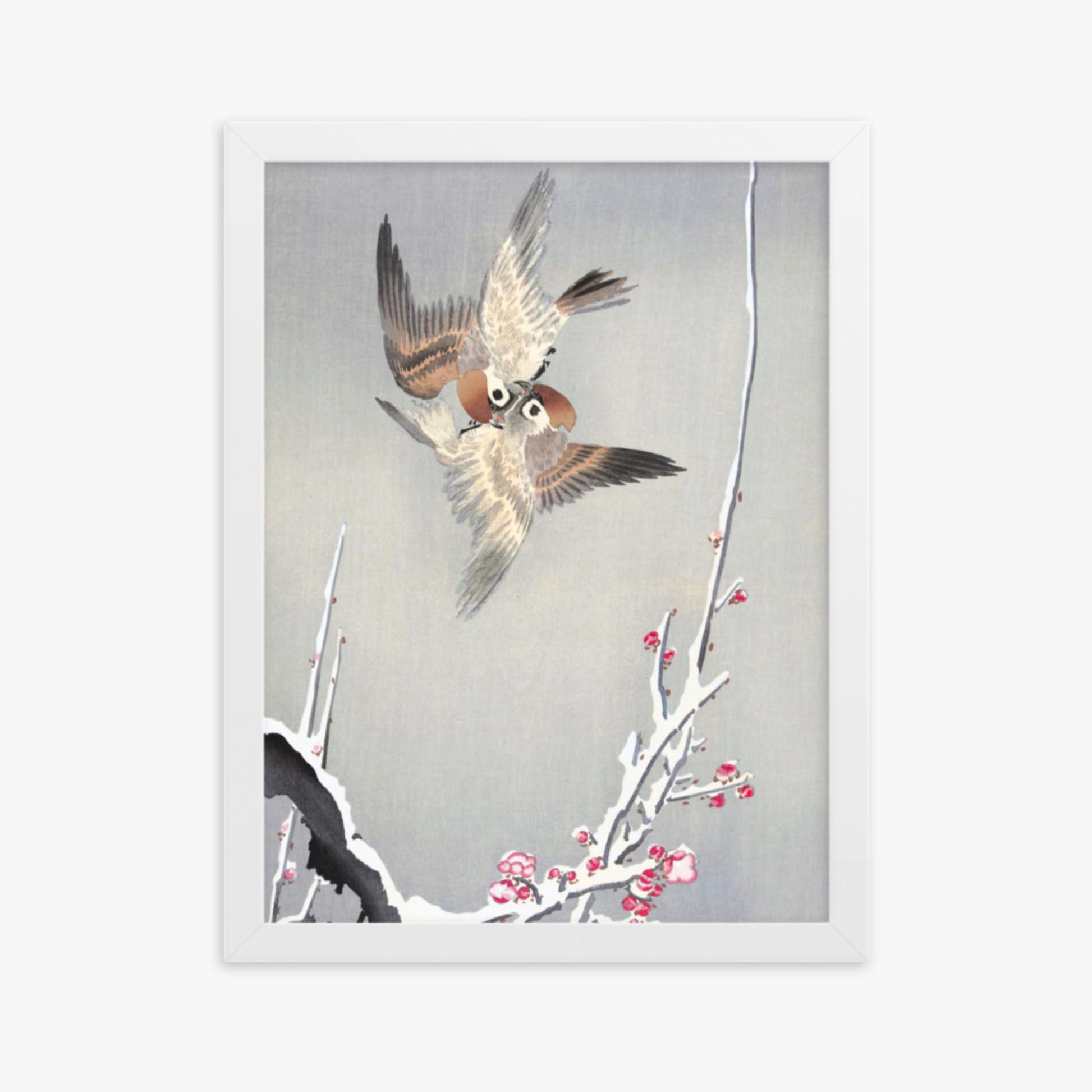 Ohara Koson - Sparrows and Snowy Plum Tree 30x40 cm Poster With White Frame