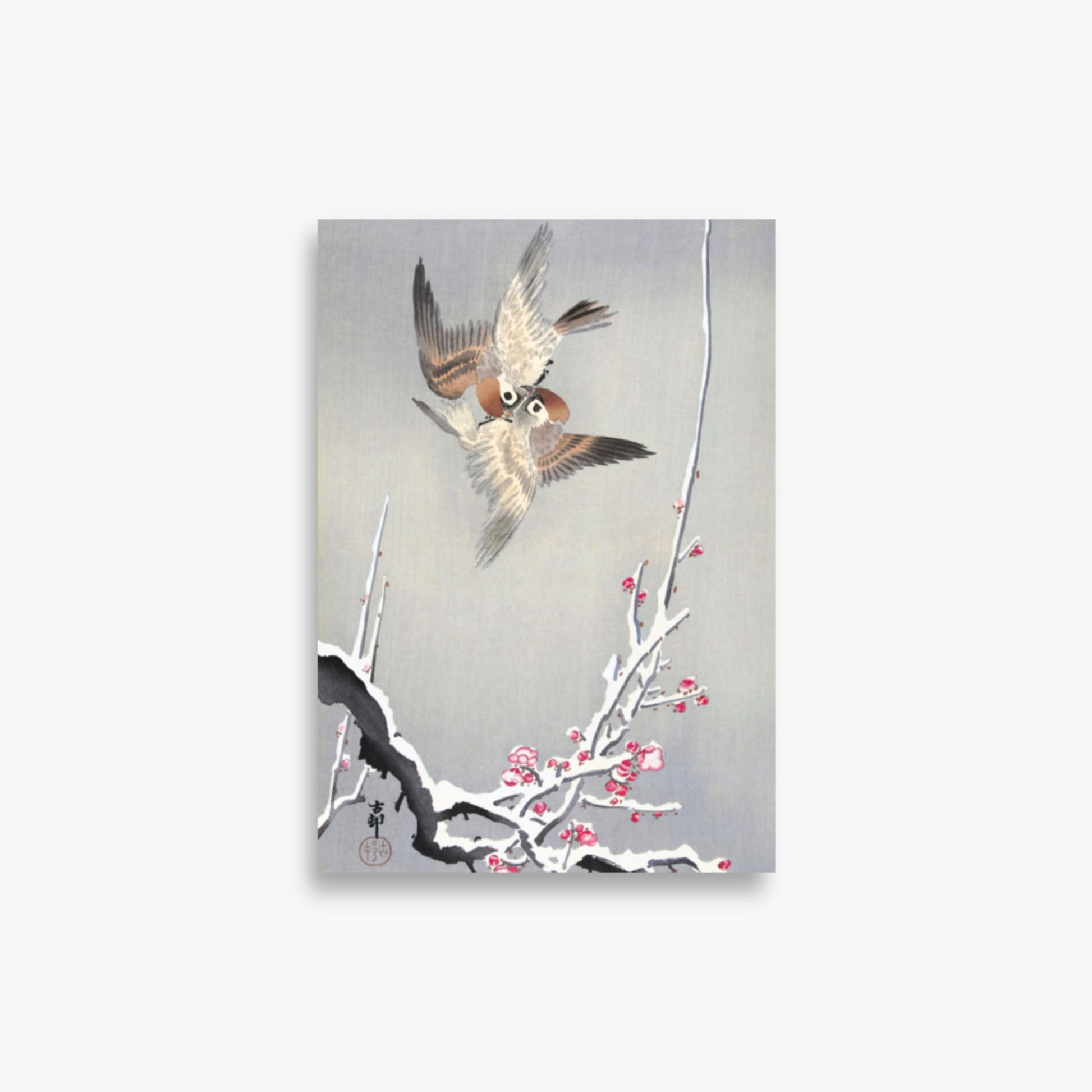 Ohara Koson - Sparrows and Snowy Plum Tree 21x30 cm Poster